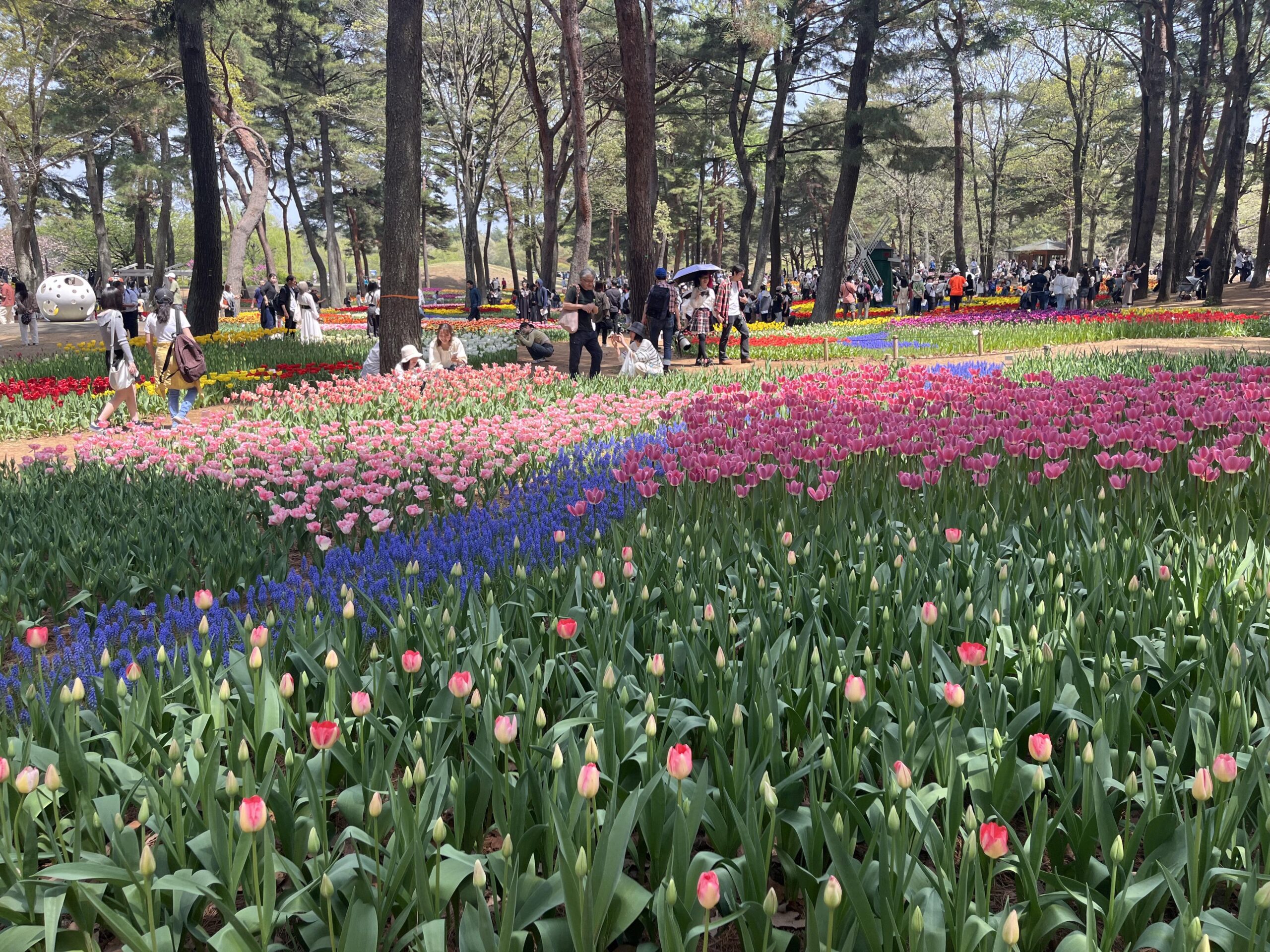 #10 Into the Many Flowered Fields